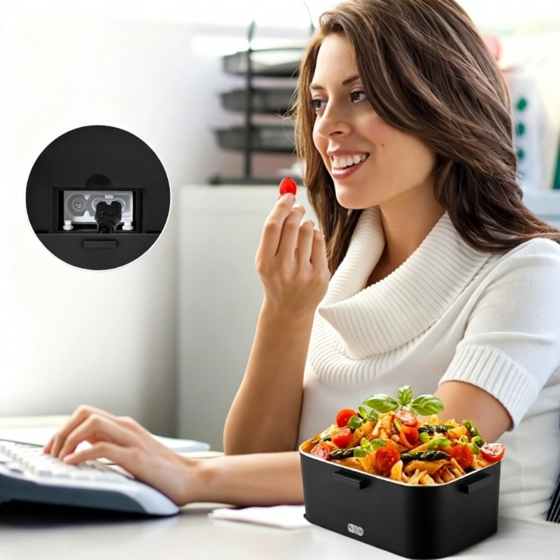 Electric Heated Lunch Box 110V - Portable Food Warmer 评论和价格
