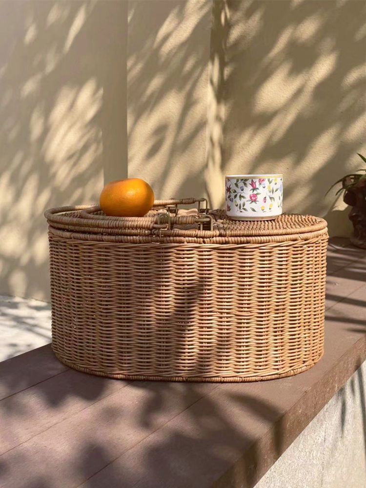 FenEr Wicker Camping Picnic Ba - Food Storage Brands 评论和价格