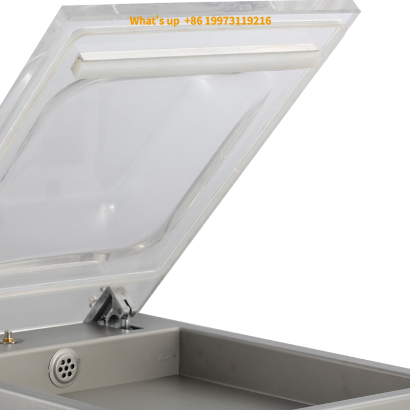 2026 DZ260 Factory Price Brand - Food Storage Brands 评论和价格