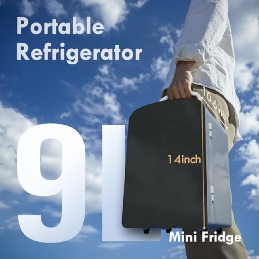 9L Mini Fridge for Bedroom Car - Portable Food Warmer 评论和价格